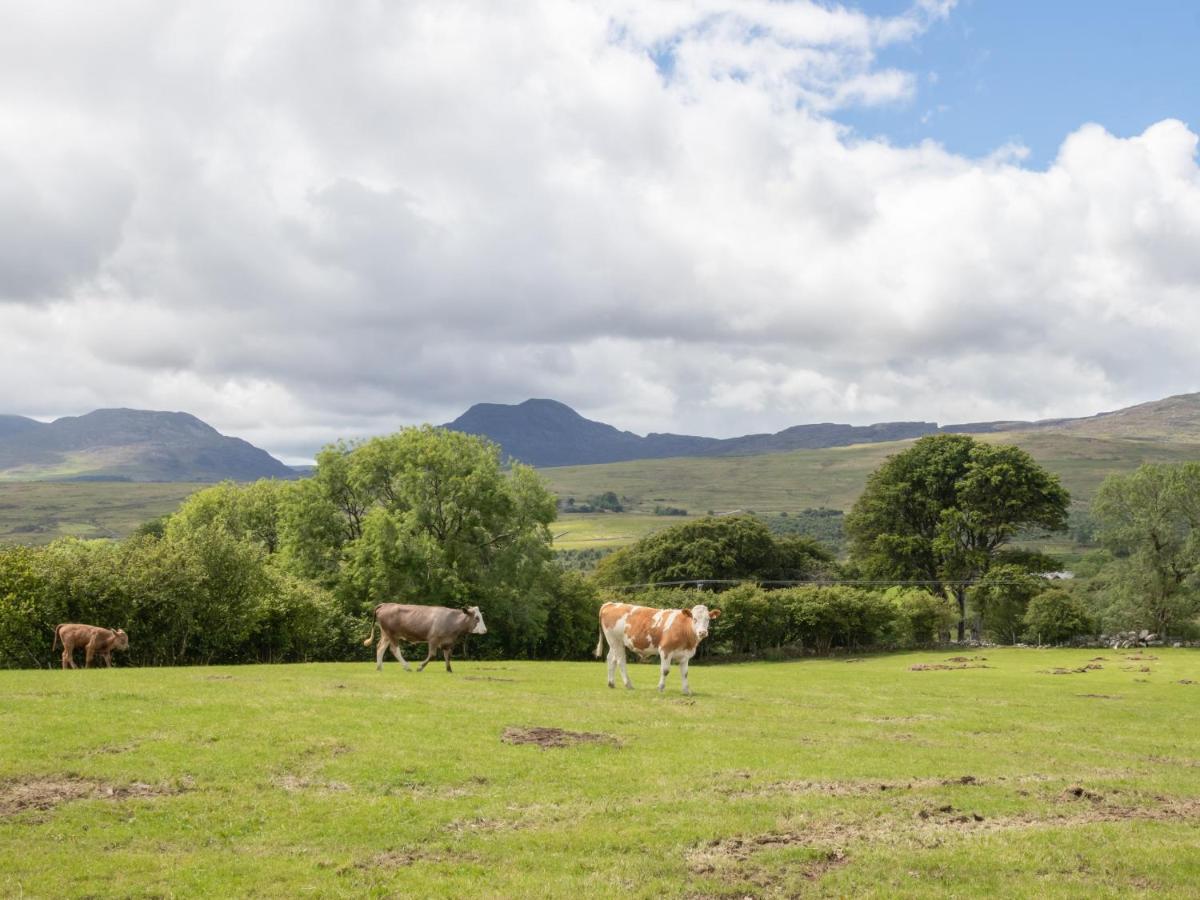 Hendre Cottage Trawsfynydd Exterior foto